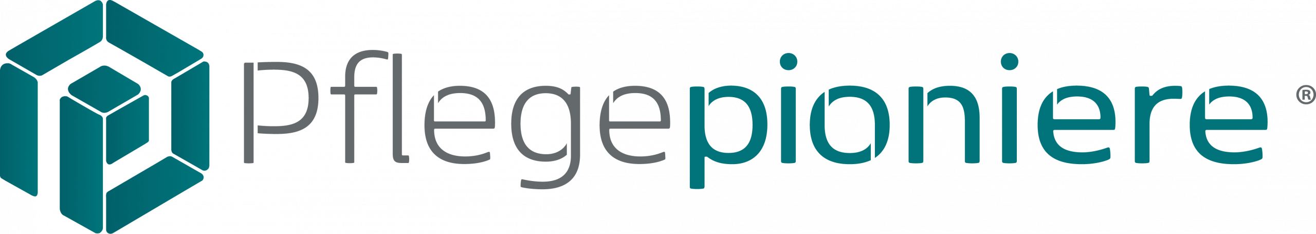 Website der Pflegepioniere (öffnet in neuem Tab)